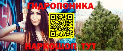 ПСИЛОЦИБИНОВЫЕ ГРИБЫ Кандалакша