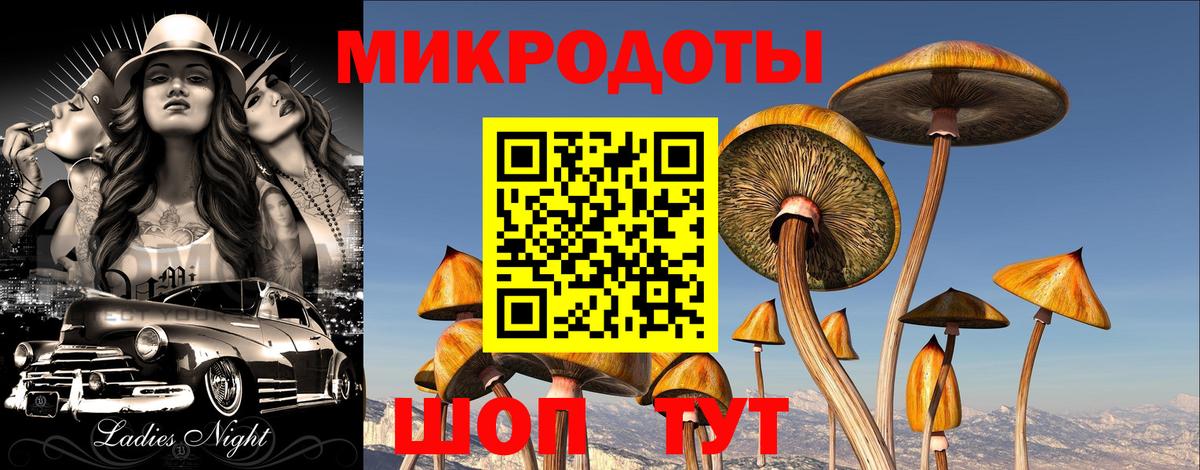 Псилоцибиновые грибы мухоморы Кушва